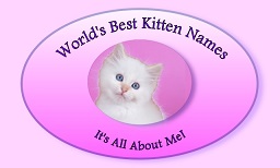 World's Best Kitten Names